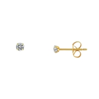 Goudkleurige Titanium Oorbellen nikkelvrij - 6mm -