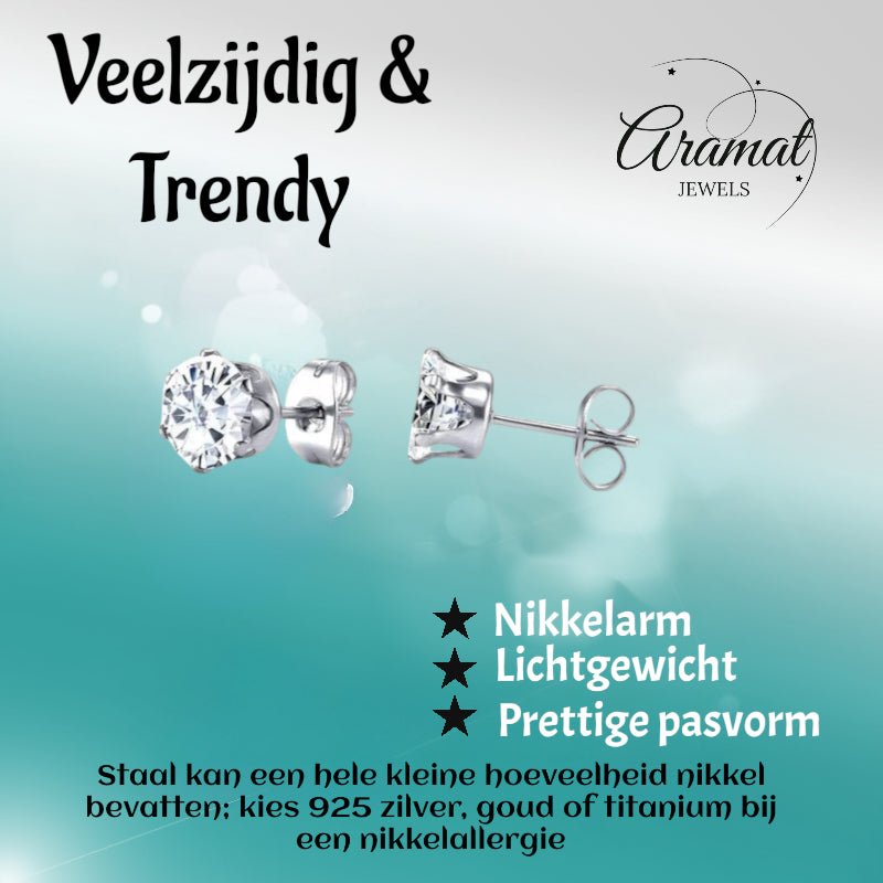 Stalen Oorstekers met Transparante Zirkonia - Rond - 5mm -