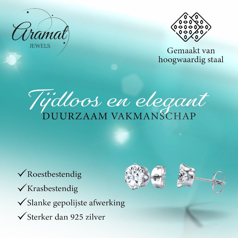 Stalen Oorstekers met Transparante Zirkonia - Rond - 4mm -