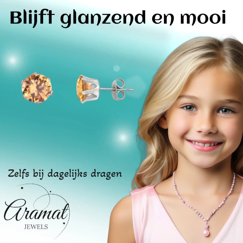 Stalen Oorstekers met Champagne Zirkonia - Rond - 6mm -