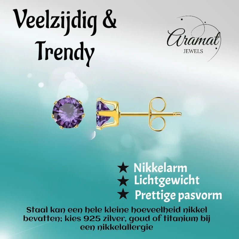RVS Paarse Zirkonia Oorbellen - Goudkleur / 3mm -