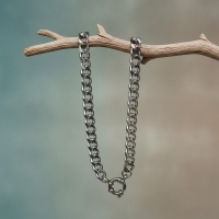 Zilverkleurige Stainless Steel Bedelketting - 7mm - 45cm - Unisex