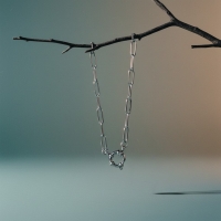 Zilveren Stainless Steel Bedelketting - 50cm - Unisex