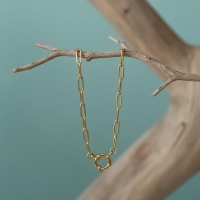 Gouden Stainless Steel Bedelketting - 50cm - Unisex
