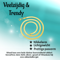 Platte Slangenketting Goudkleurig Staal - 4mm / 50cm - Heren