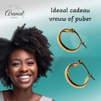 Gladde Hoops RVS &acirc;&euro;&ldquo; Goudkleurige Oorbellen (16, 20 en 25 mm) - 25mm -
