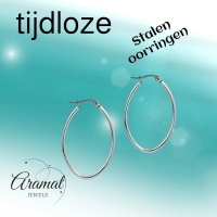 Oorringen &acirc;&euro;&ldquo; Stalen Ovale Hoepeloorbellen RVS Zilverkleur - 30mm -