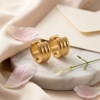 Creolen &acirc;&euro;&ldquo; RVS Goudkleur met Twee Strepen (13mm of 20mm) - 20mm -