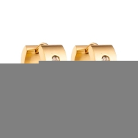 Creolen &acirc;&euro;&ldquo; RVS Goudkleur met Dubbele Zirkonia (13mm of 20mm) - 20mm -