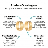 Rvs Oorringen met Dubbele Strepen goudkleur - 20mm -