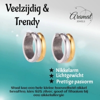RVS oorringen - Bicolor Staal - Glanzend - 20mm -