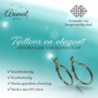 Oorringen &acirc;&euro;&ldquo; Klassieke Basic Hoepel Creolen RVS Zilverkleur (Diverse Maten) - 30mm