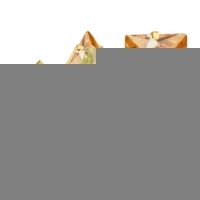 Goudkleurige Vierkante Oorbellen Met Champagne Zirkonia - 6mm -