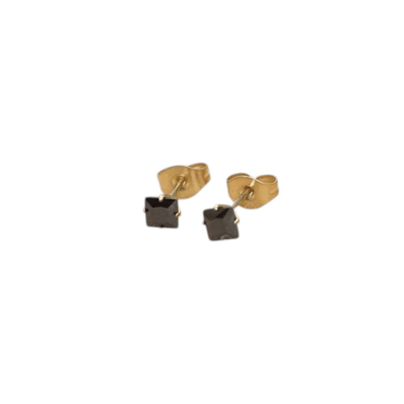 Rvs Vierkante Oorbellen Met Zwarte Zirkonia - 4mm -