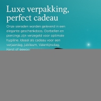 Stijlvolle zwarte Navelpiercing met Zirkonia - Zwart - Unisex