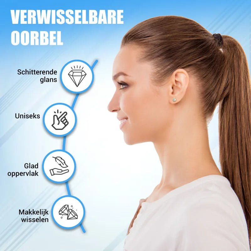 Stalen Oorbellen met Verwisselbare Zirkonia &acirc;&euro;&ldquo; RVS - Zwart -