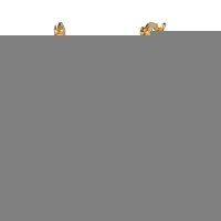 RVS Gedraaide Creolen Diverse Kleuren 25mm of 45mm - Trendy Hoepels - Zilverkleur / 25mm -