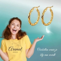 RVS Gedraaide Creolen Diverse Kleuren 25mm of 45mm - Trendy Hoepels - Zilverkleur / 25mm -