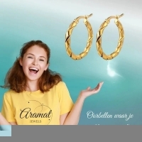 RVS Gedraaide Creolen Diverse Kleuren 25mm of 45mm - Trendy Hoepels - Zilverkleur / 25mm -