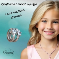 Stalen Oorringen met Stervormige Zirkonia - Zilverkleur -