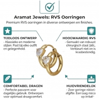 Stalen Oorringen met Hartvormige Zirkonia - Zilverkleur -