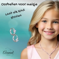 Stalen Oorringen met Hartvormige Zirkonia - Zilverkleur -