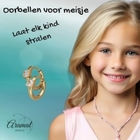 Stalen Oorringen met vierkante Zirkonia - Zilverkleur -