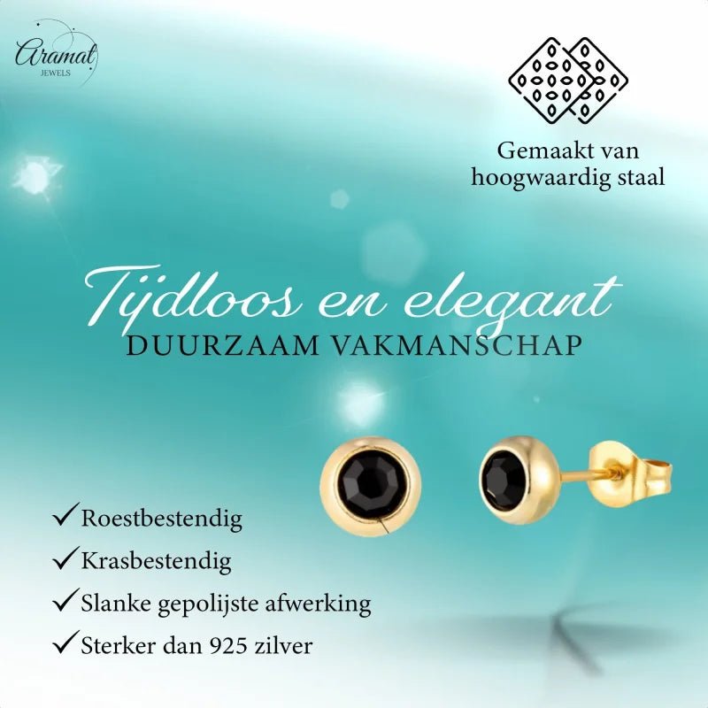 Stalen Bolletjes oorbellen met zwarte zirkonia-5mm -