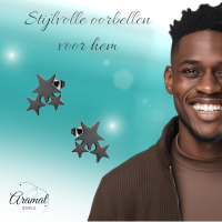 Stalen Sterren Oorbellen - Zwart of Zilverkleurig RVS - Zilverkleur -