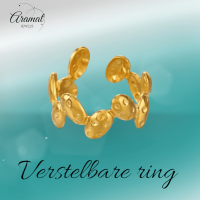 RVS Damesring Verstelbaar &acirc;&euro;&ldquo; Ovale Bewerkte Schakels &acirc;&euro;&ldquo; One Size