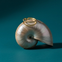 Verstelbare RVS Ring met Dubbele Bolletjeslijn (7 mm) - Goudkleur -