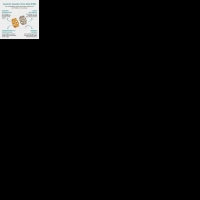 Brede One Size Schakelring van RVS - Goudkleurig of Zilver (9 mm) - Goudkleur -
