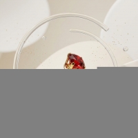 Goudkleurige RVS Oorstekers met Rode Zirkonia - 4mm -