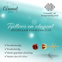 Goudkleurige RVS Oorstekers met Rode Zirkonia - 5mm -