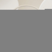 Goudkleurige RVS Oorstekers met Rode Zirkonia - 6mm -