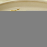 Goudkleurige Halve Oorringen Emaille Cirkel 25x10mm - Zwart -