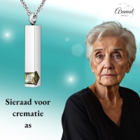 Stalen Ashanger Staaf met Zirkonia &acirc;&euro;&ldquo; Sierlijk Gedenksieraad Zilver & Goud - R
