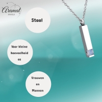 Stalen Ashanger Staaf met Zirkonia &acirc;&euro;&ldquo; Sierlijk Gedenksieraad Zilver & Goud - O
