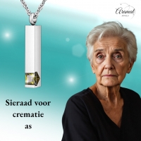 Stalen Ashanger Staaf met Zirkonia &acirc;&euro;&ldquo; Sierlijk Gedenksieraad Zilver & Goud - O
