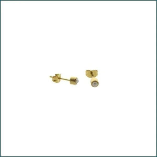 Elegante Stalen Parel Oorbellen 4mm - Zilverkleurig/Zwart -