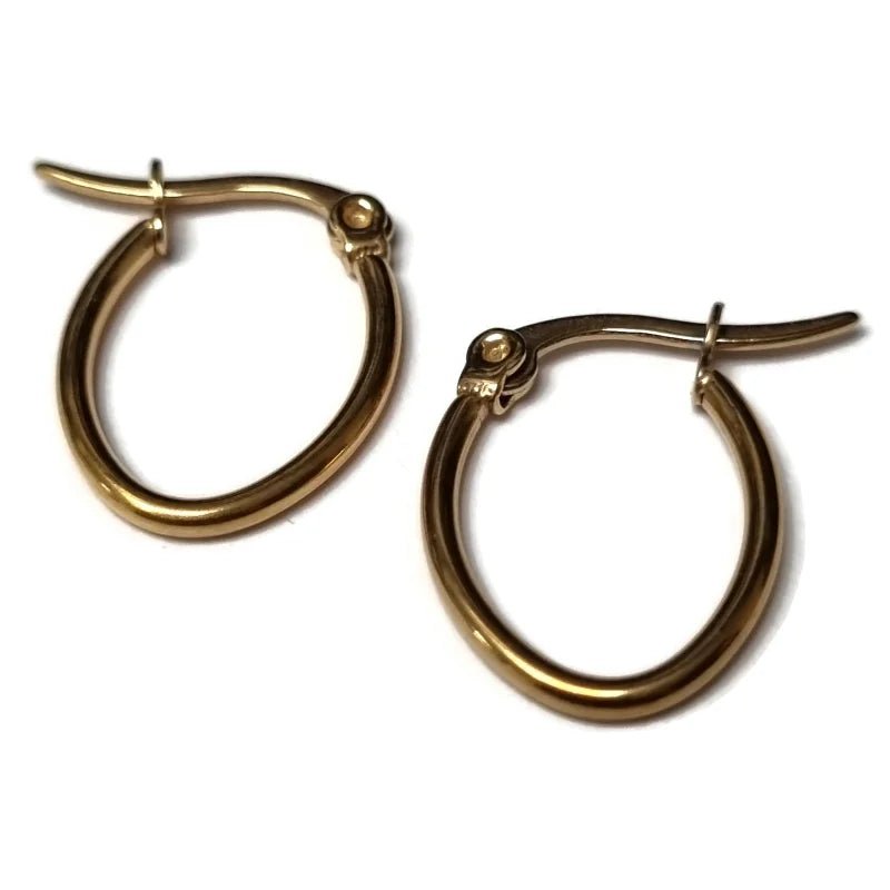 Stainless steel Ovale Oorbellen Goudkleur - 16mm -