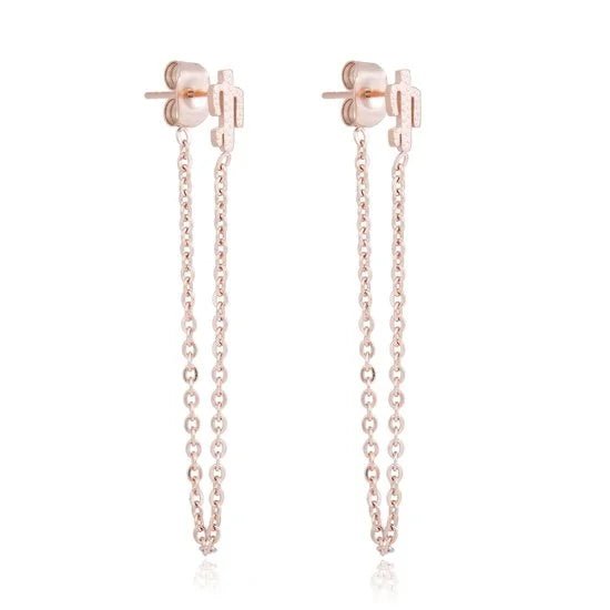 Stijlvolle Stalen oorbellen met kettinkje - Ros&Atilde;&copy;kleurig / Cactus-8x4mm -