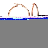RVS Oorringen Goudkleur 20mm Vorksluiting - Glanzende Hoepels - Zilverkleurig / 20mm -