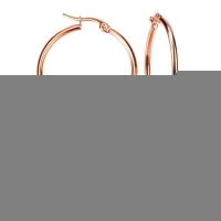 RVS Oorringen Goudkleur 20mm Vorksluiting - Glanzende Hoepels - Zilverkleurig / 15mm -