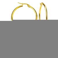 RVS Oorringen Goudkleur 20mm Vorksluiting - Glanzende Hoepels - Zilverkleurig / 65mm -