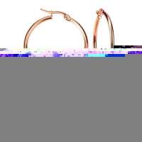 RVS Oorringen Goudkleur 20mm Vorksluiting - Glanzende Hoepels - Goudkleurig / 10mm -