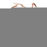 RVS Oorringen Goudkleur 20mm Vorksluiting - Glanzende Hoepels - Goudkleurig / 50mm -